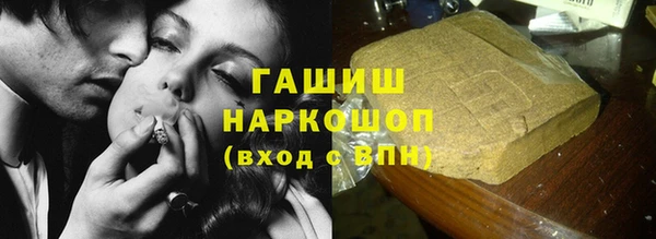 тгк Инсар