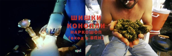 тгк Инсар