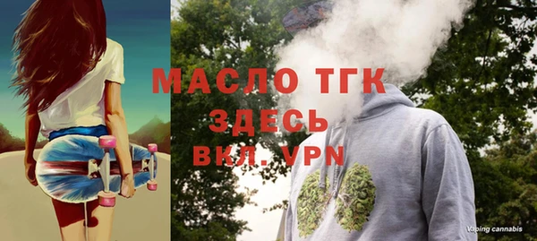 тгк Инсар
