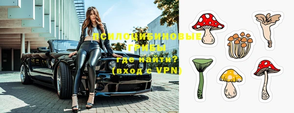 тгк Инта