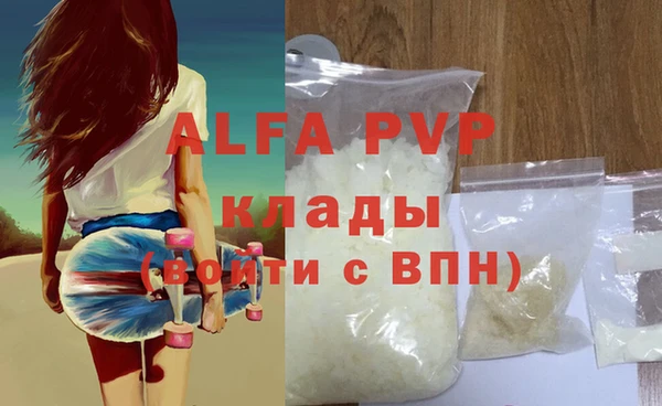 тгк Инсар