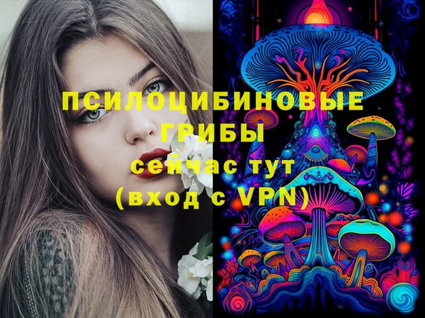тгк Инсар