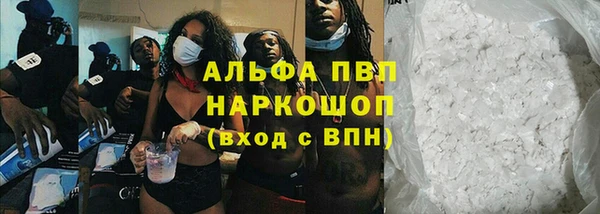 тгк Инсар