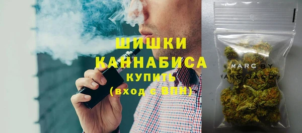 ешки Иннополис